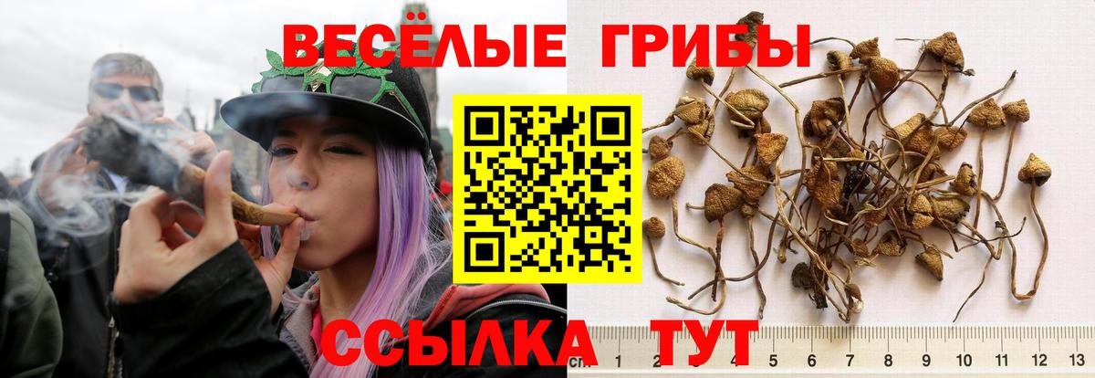 Дзержинск  Галлюциногенные грибы мухоморы  Вход с VPN 